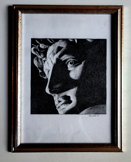 David di Michelangelo ( Trilogia - 3 di 3)