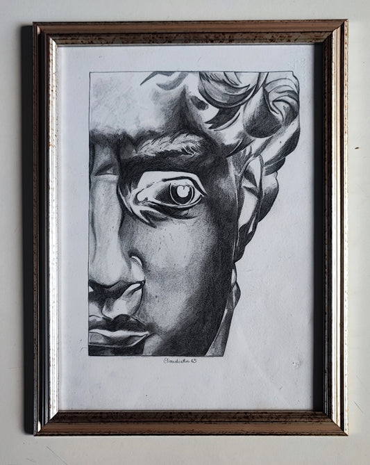 David di Michelangelo (Trilogia - 2 di 3)